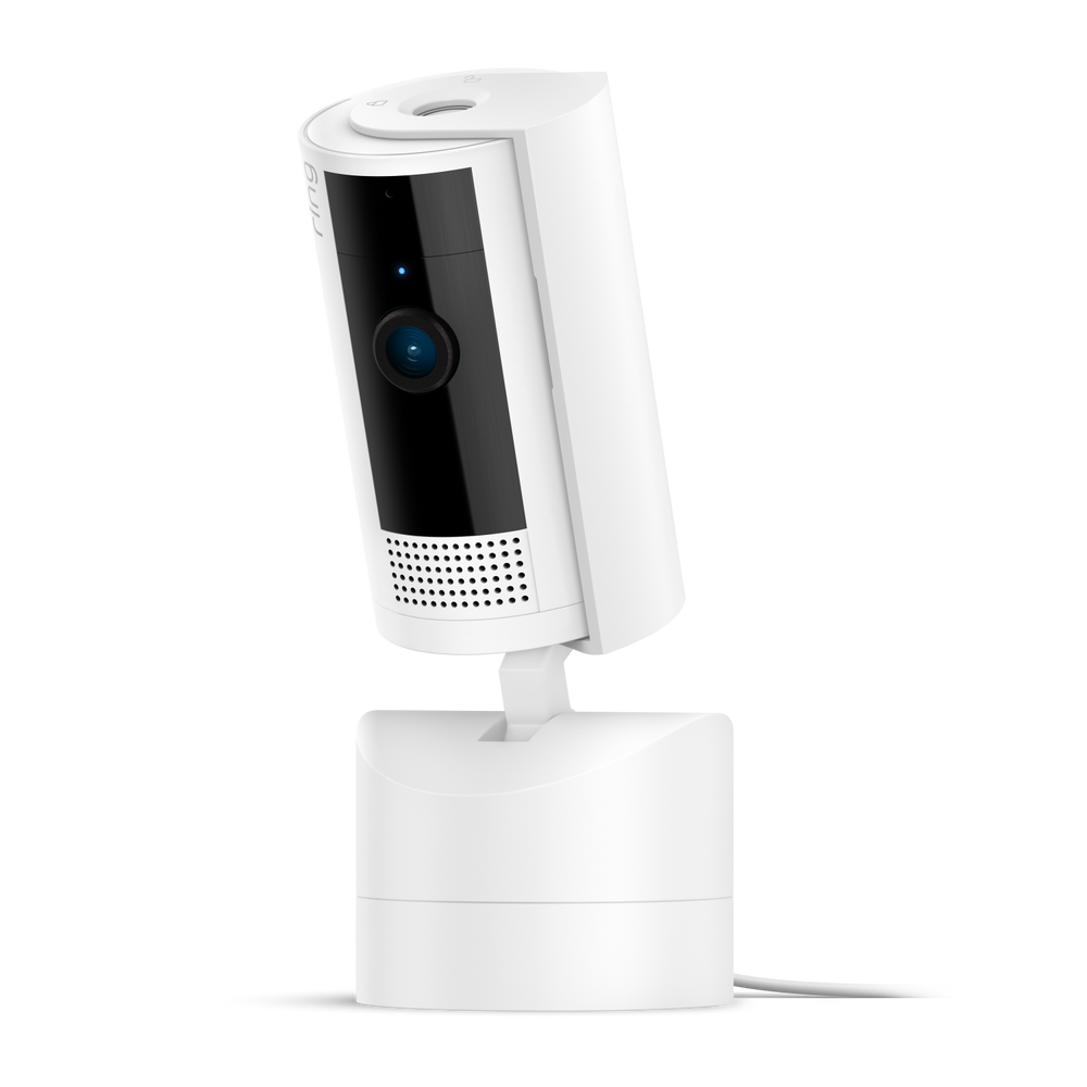 Videocamera interna inclinabile (Pan-Tilt Indoor Camera)